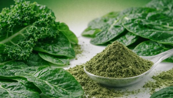Kale, Spinach and super greens powder on a bench